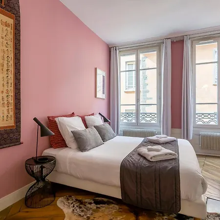 Curiosite - Furnished Apartment - Downtown Lyon Daire Lyon